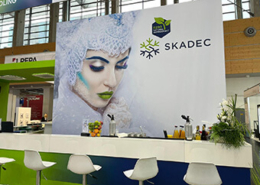 Bild der SKADEC Messewand 2022